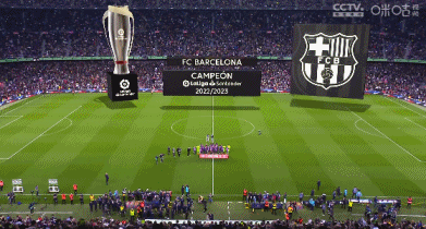 帕尔马队长：我们必须通过团队协作，共同限制莱奥的发挥（帕尔马队长：靠整体合力压制莱奥的发挥）